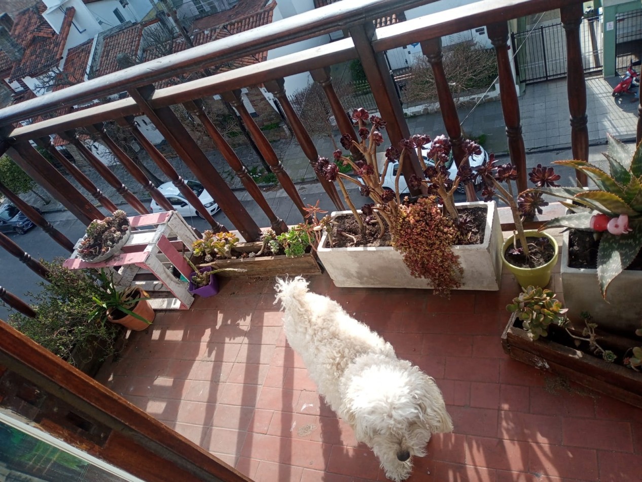 DEPARTAMENTO DE 3 AMB EXTERNO CON BALCON 